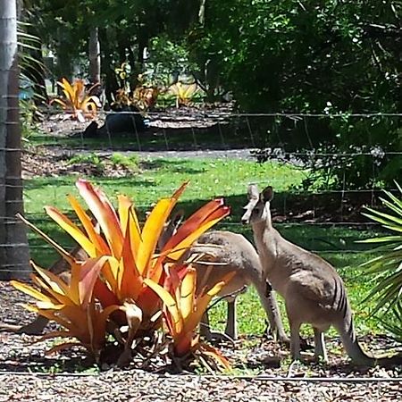 Bluegrass Bnb Bundaberg Ngoại thất bức ảnh