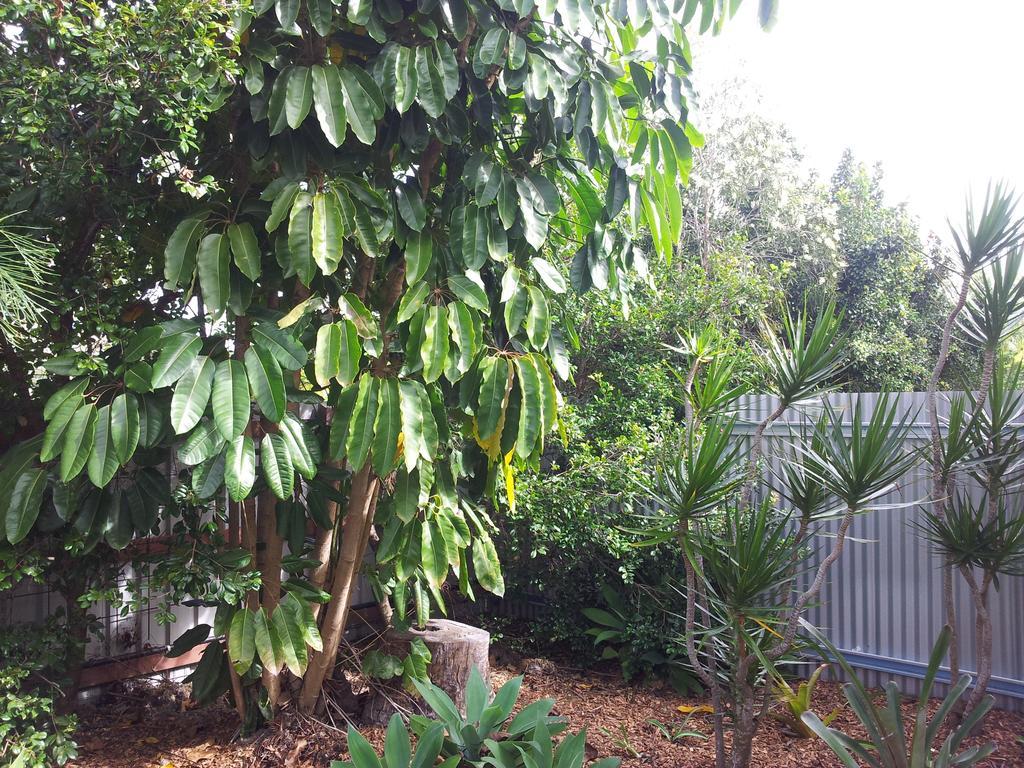 Bluegrass Bnb Bundaberg Ngoại thất bức ảnh